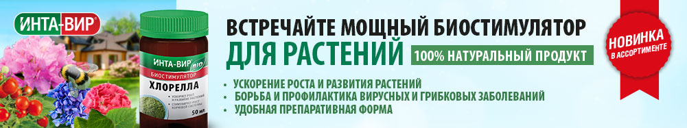 ff49222c10e306540f05591c9feff5b8